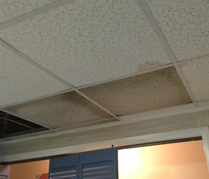 discolored ceiling tiles