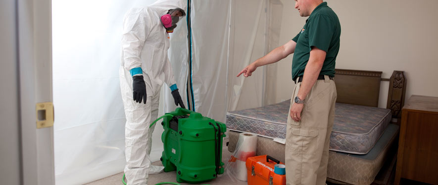Langhorne, PA mold removal process